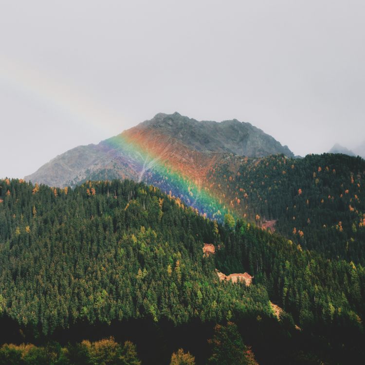 Navigating the Rainbow – Chromhidrosis