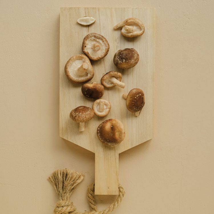 Fascinating Fungi, Derm Edition!
