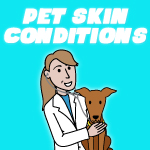 The Truth About Pet Skin Conditions